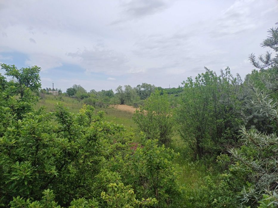 GA S4 Продам ділянку 50сот з озером, Хар.обл, смт Високий, с Іржавець.