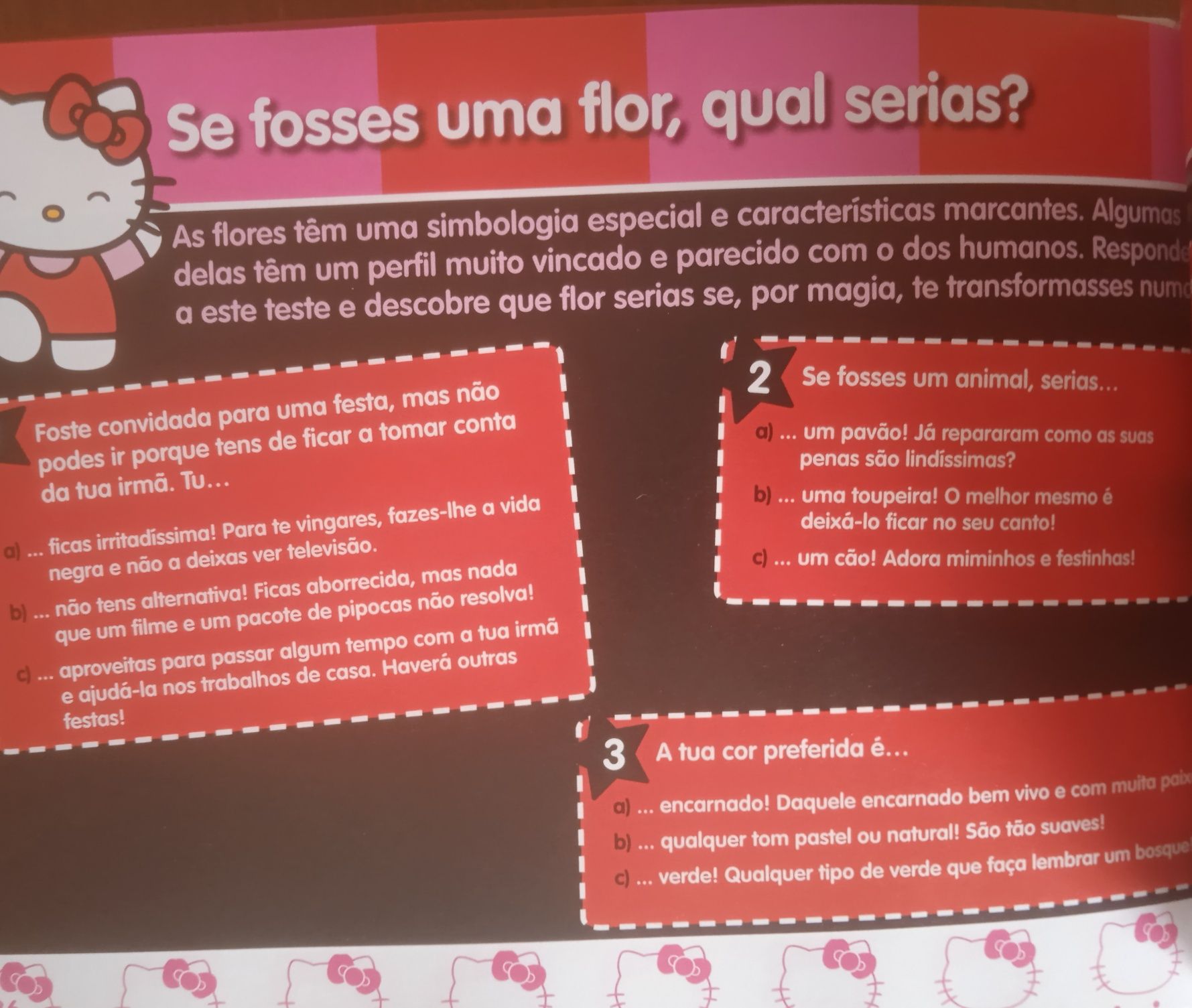 Hello Kitty - Livro de Testes