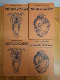 K. Krysiak, K. Świeżyński
ANATOMIA ZWIERZĄT  1-4