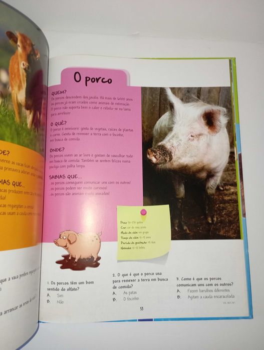 O Grande livro dos animas (domésticos)