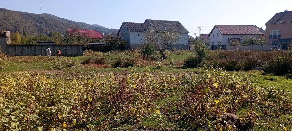 Продамо земельну ділянку Свалява