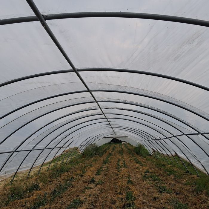 Tunel ocynk konstrukcja z folią