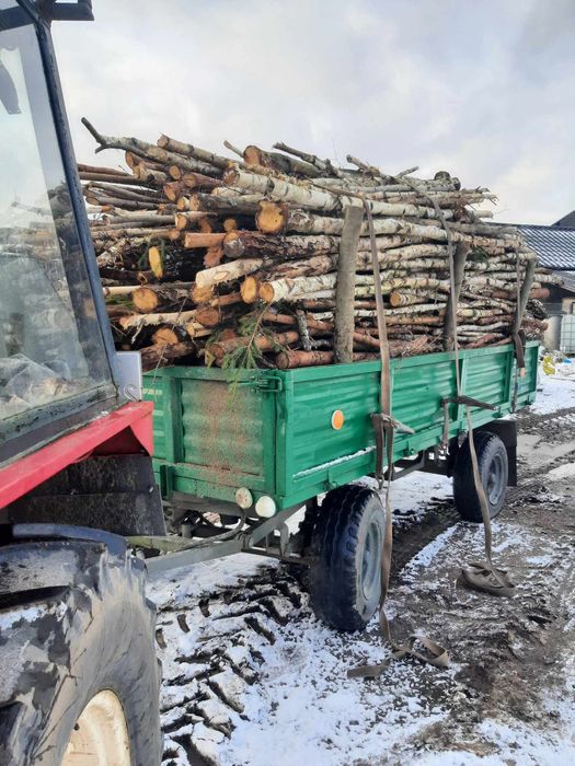 Usługi pilarskie ścinka drzew cięcie rąbanie i przycinanie drzew
