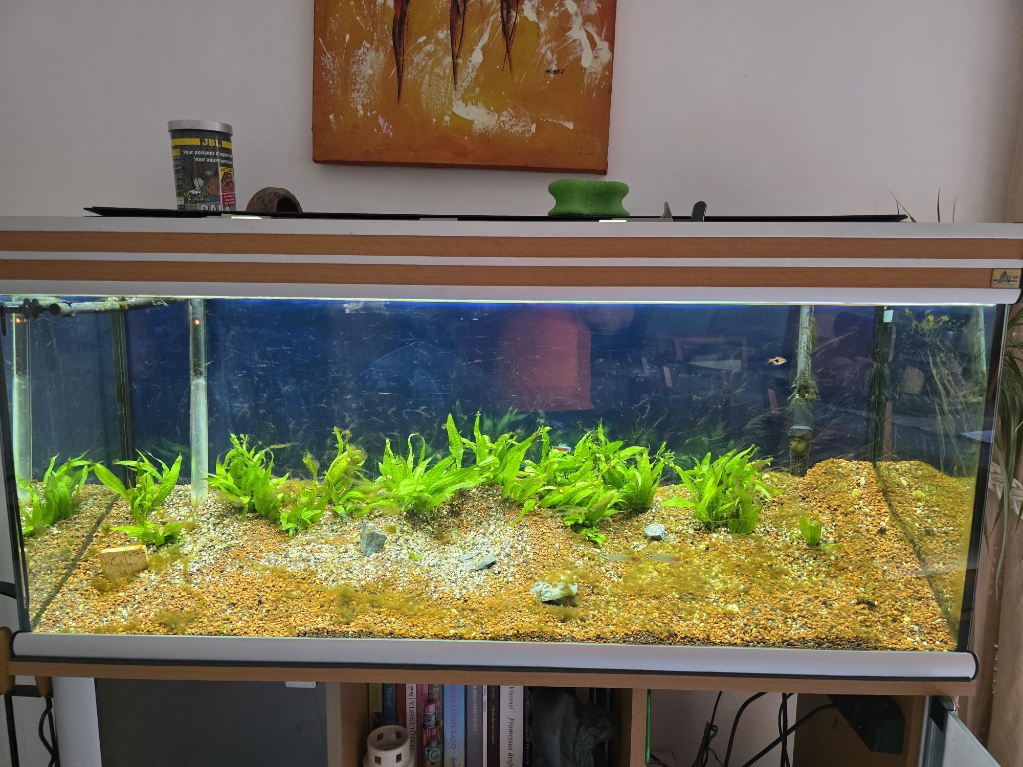 Aquário Aquatilantis + Móvel