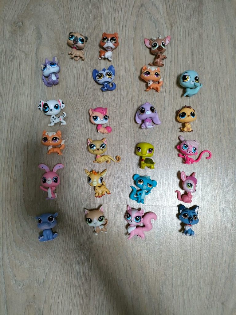 My little pet shop
Lps