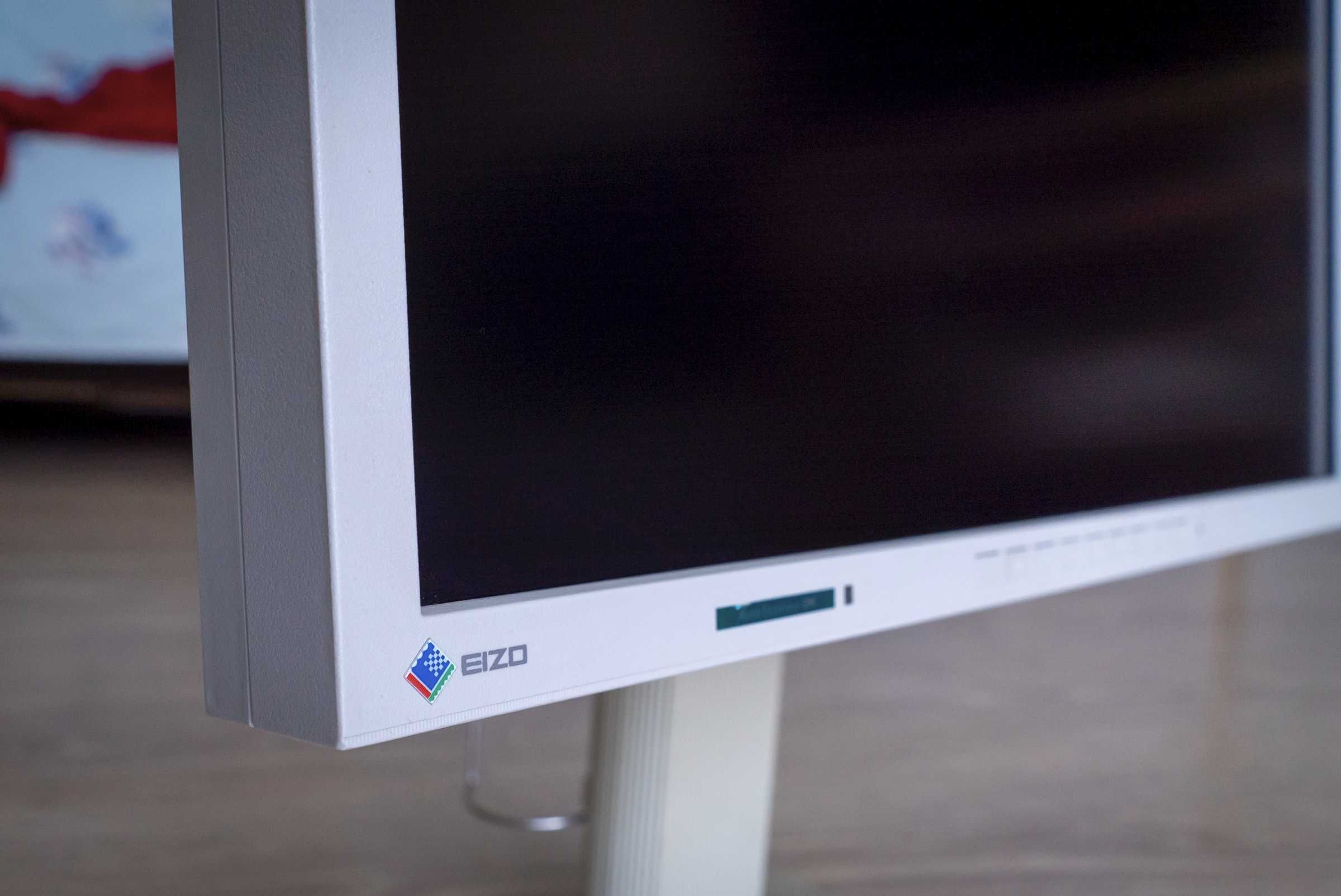 Monitor EIZO FlexScan S2100/zdjęcia/grafika