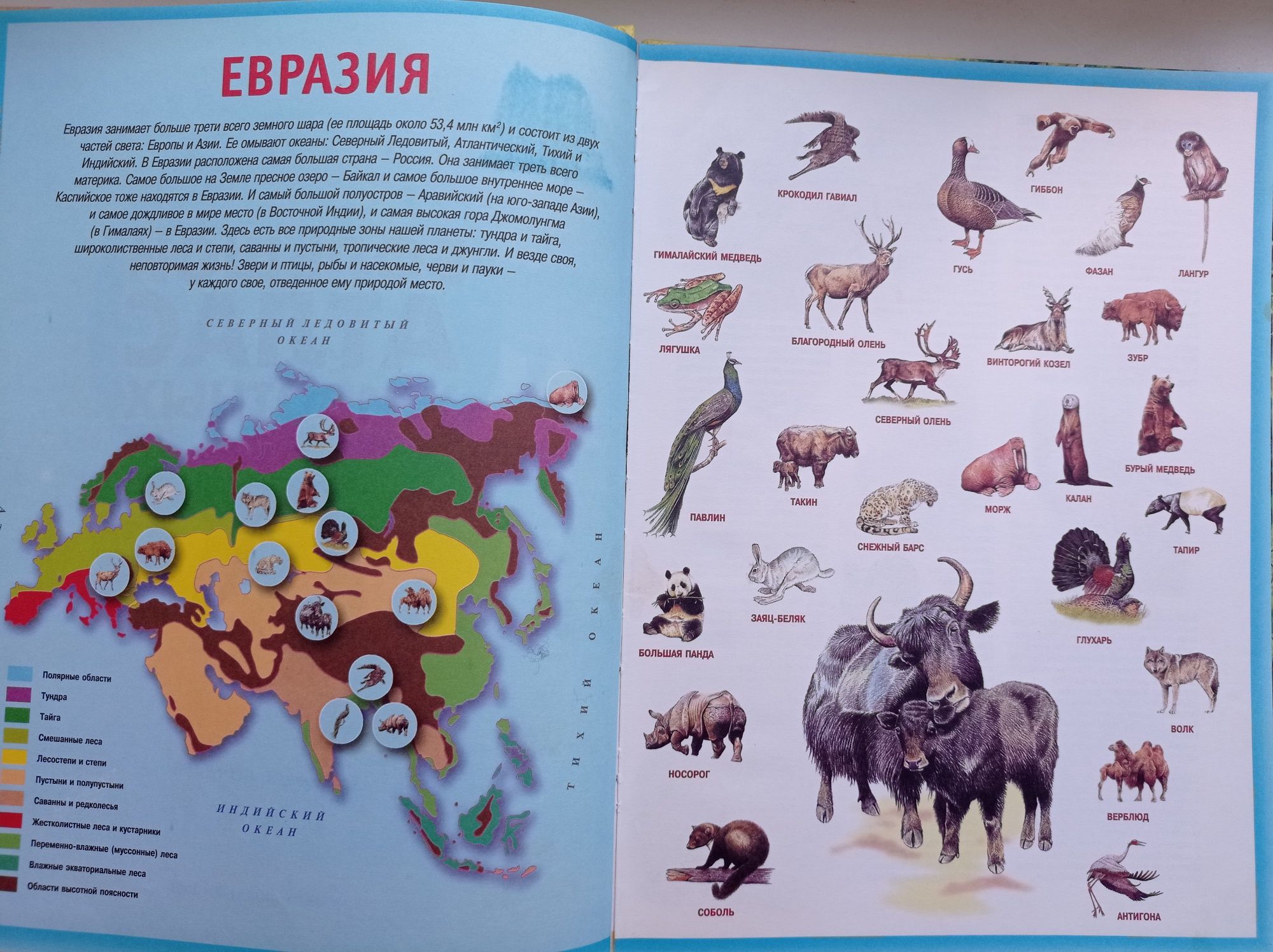 Книга для детей Большой Атлас Животных и Атлас подводного мира
