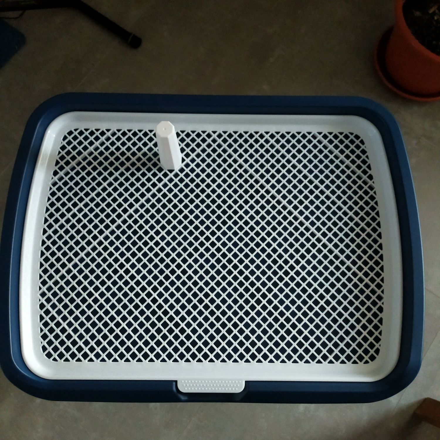 WC para cães medio porte