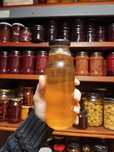 Syrop z młodych pędów  sosny 300 ml
