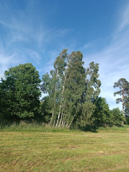 16ha, Działka rolna Wydminy