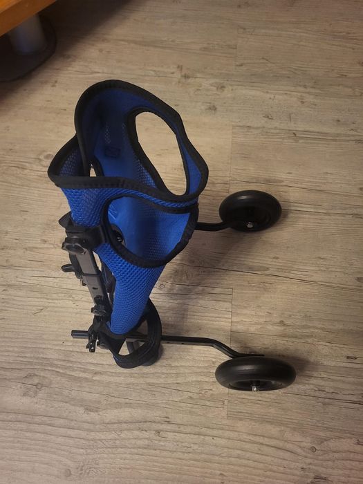 Wózek inwalidzki dla psa na tylne nogi