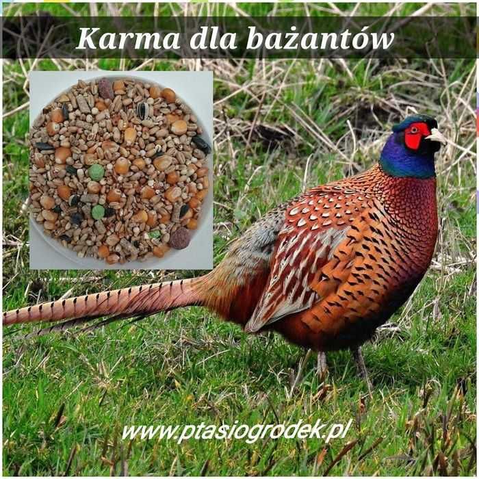 Karma uniwersalna dla bażantów, 10kg, pełnowartościowa mieszanka