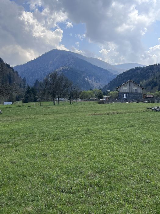 Земля в Карпатах у горах