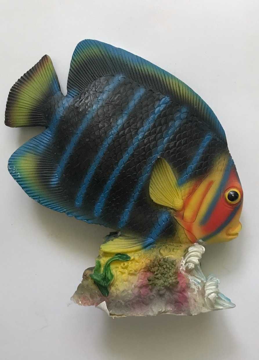 Figurka Ryba na rafie koralowej 13 x 14 cm