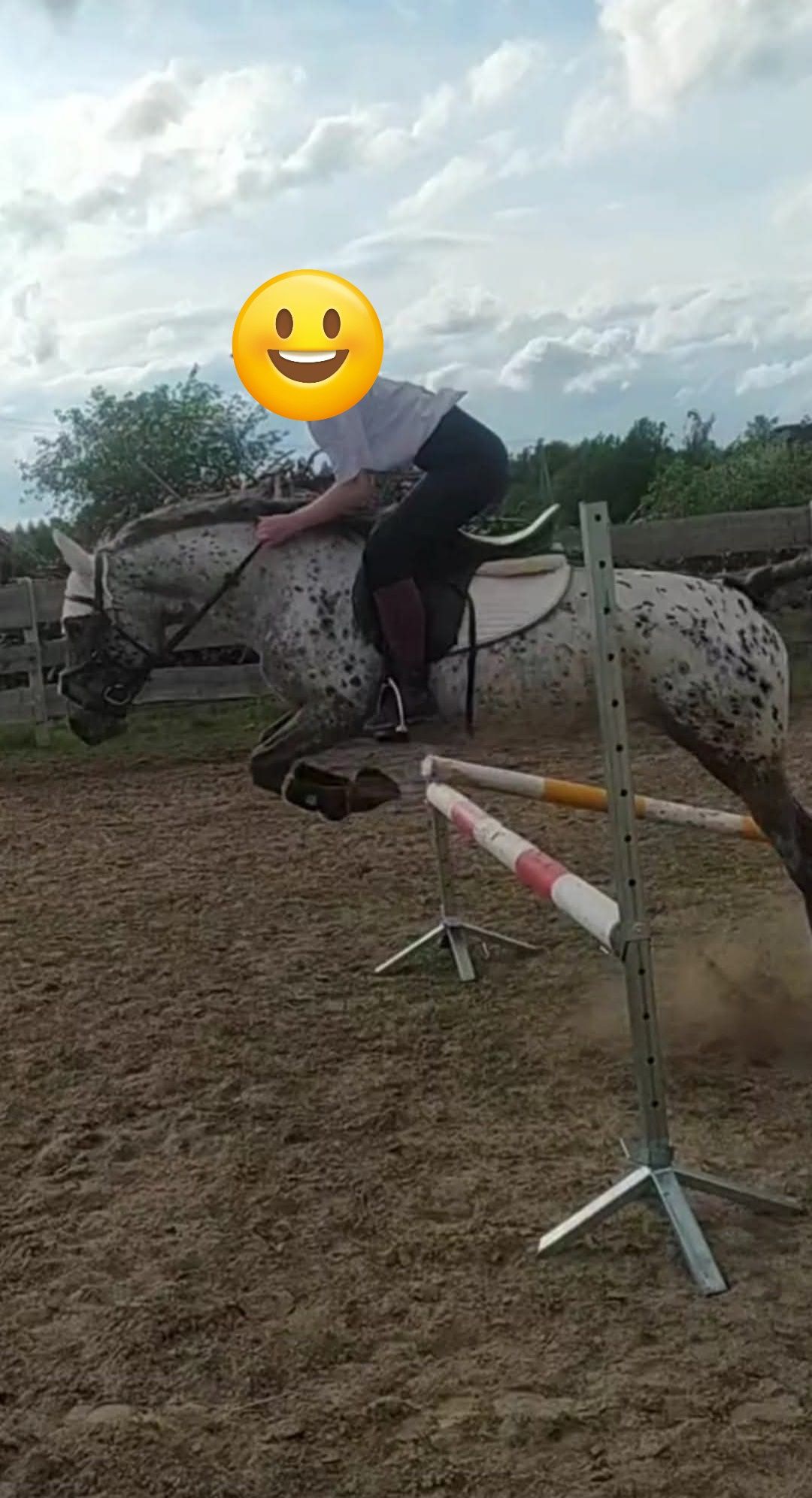 Konie do dzierżawy