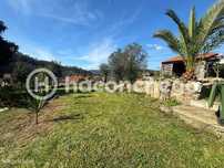 Moradia para Restaurar T3 Venda em Panque,Barcelos