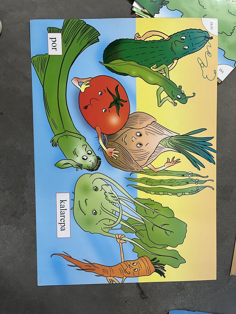 Pomoc dydaktyczna - zestaw plansz