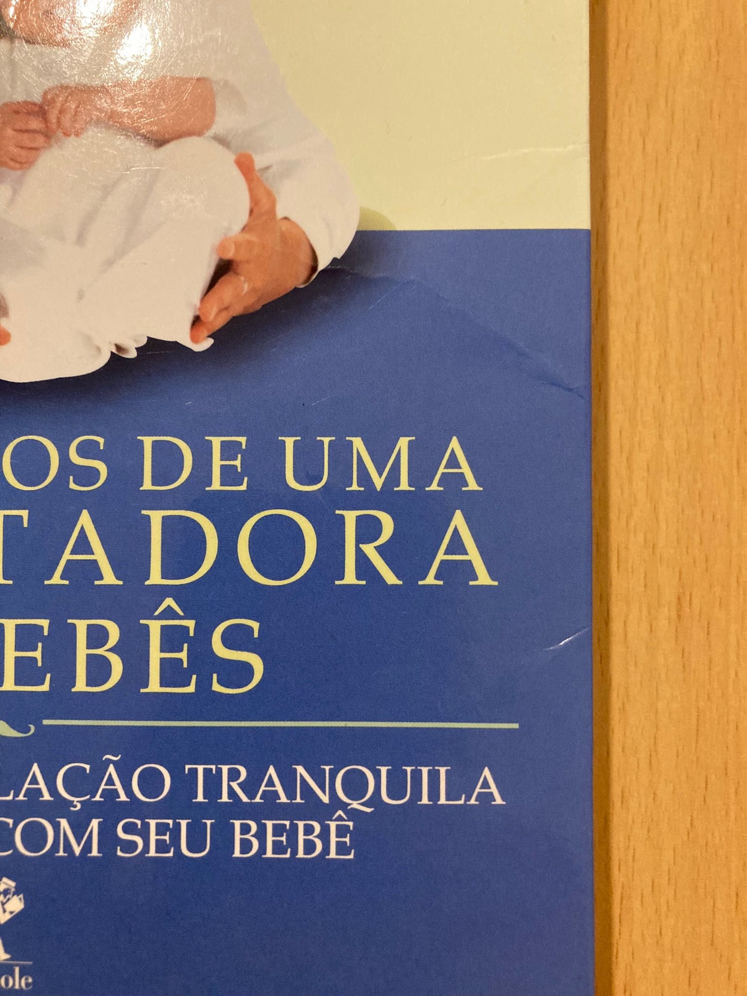 Tire suas dúvidas com a Encantadora de Bebés! (Livro)