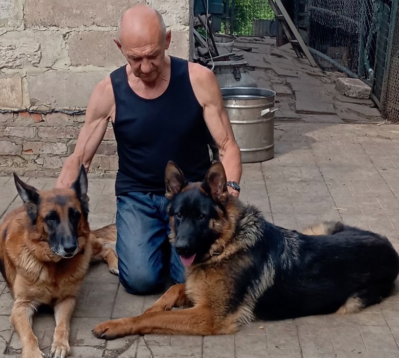 Суки два  месяца из питомника