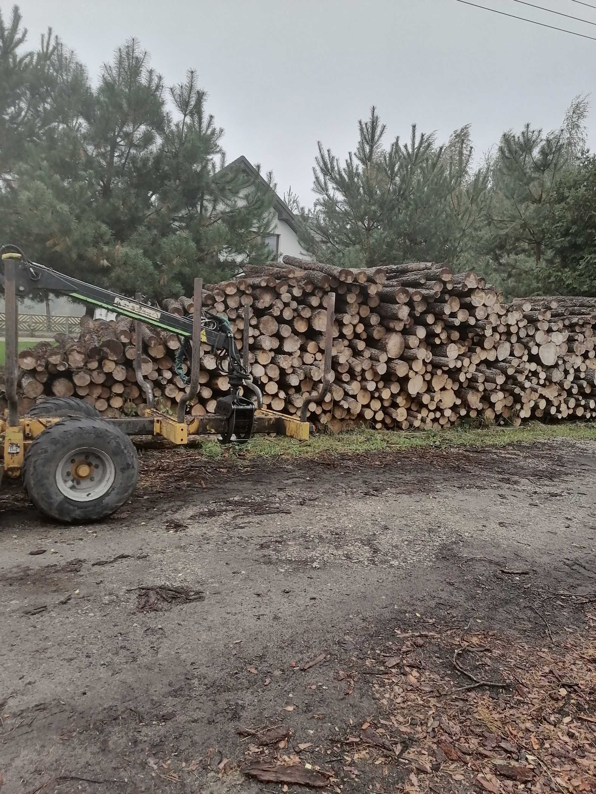 s u c h e, krótkie Drewno kominkowe - opałowe Nieborów