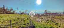 Terreno Rustico em Tondela