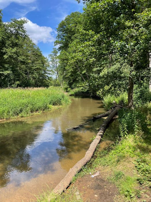 Działka z domkiem nad rzeką, Włodzimierzów OKAZJA