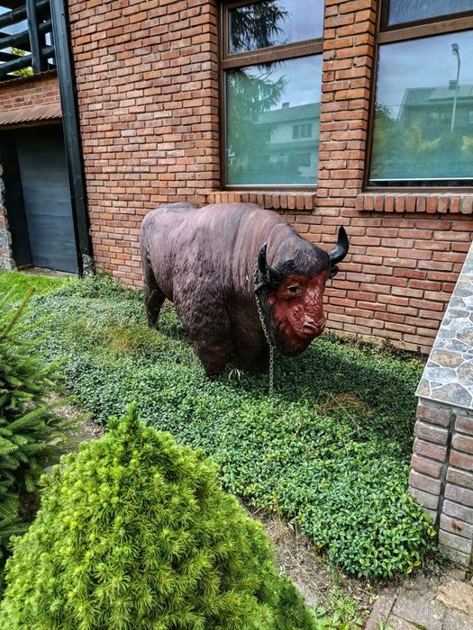 Willa Mortęgi , noclegi