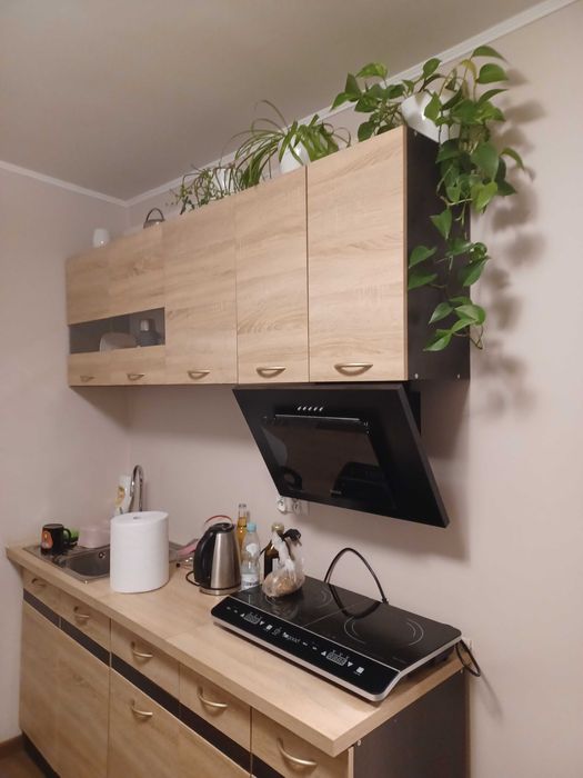 Zakopane, Kawalerka, wynajem długoterminowy.