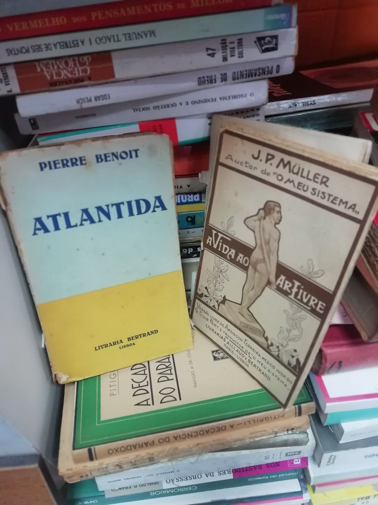 Livros vários antigos