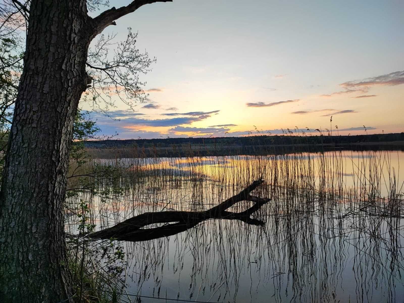 Domek letniskowy nr 4E,F, jezioro, mazury, nocleg