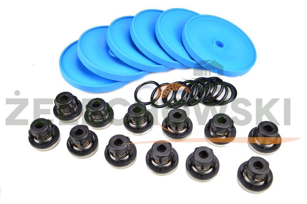 Zestaw naprawczy pompy ANNOVI REVERBERI AR 250 AR 280