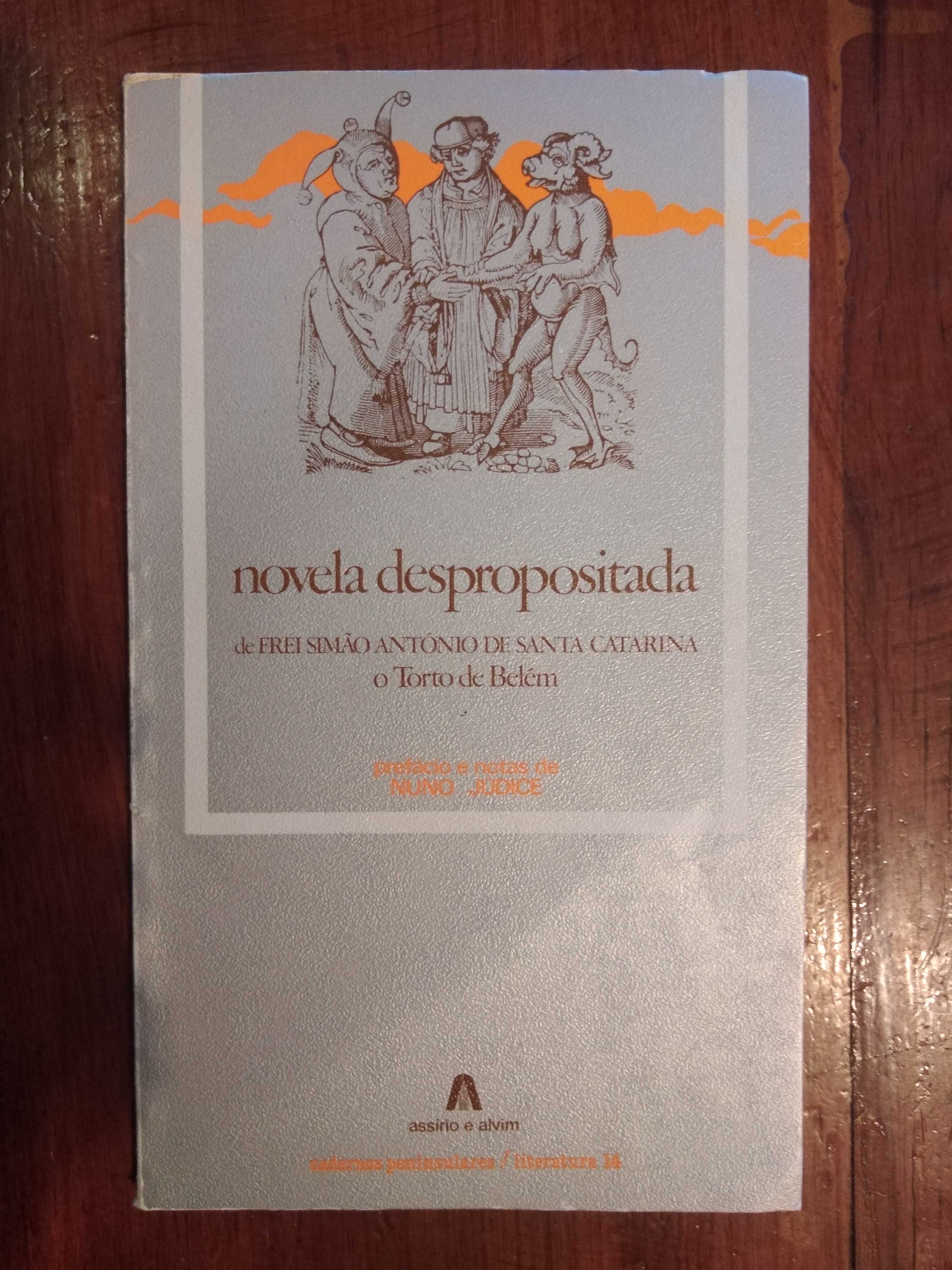 Frei Simão António de Santa Catarina - Novela despropositada