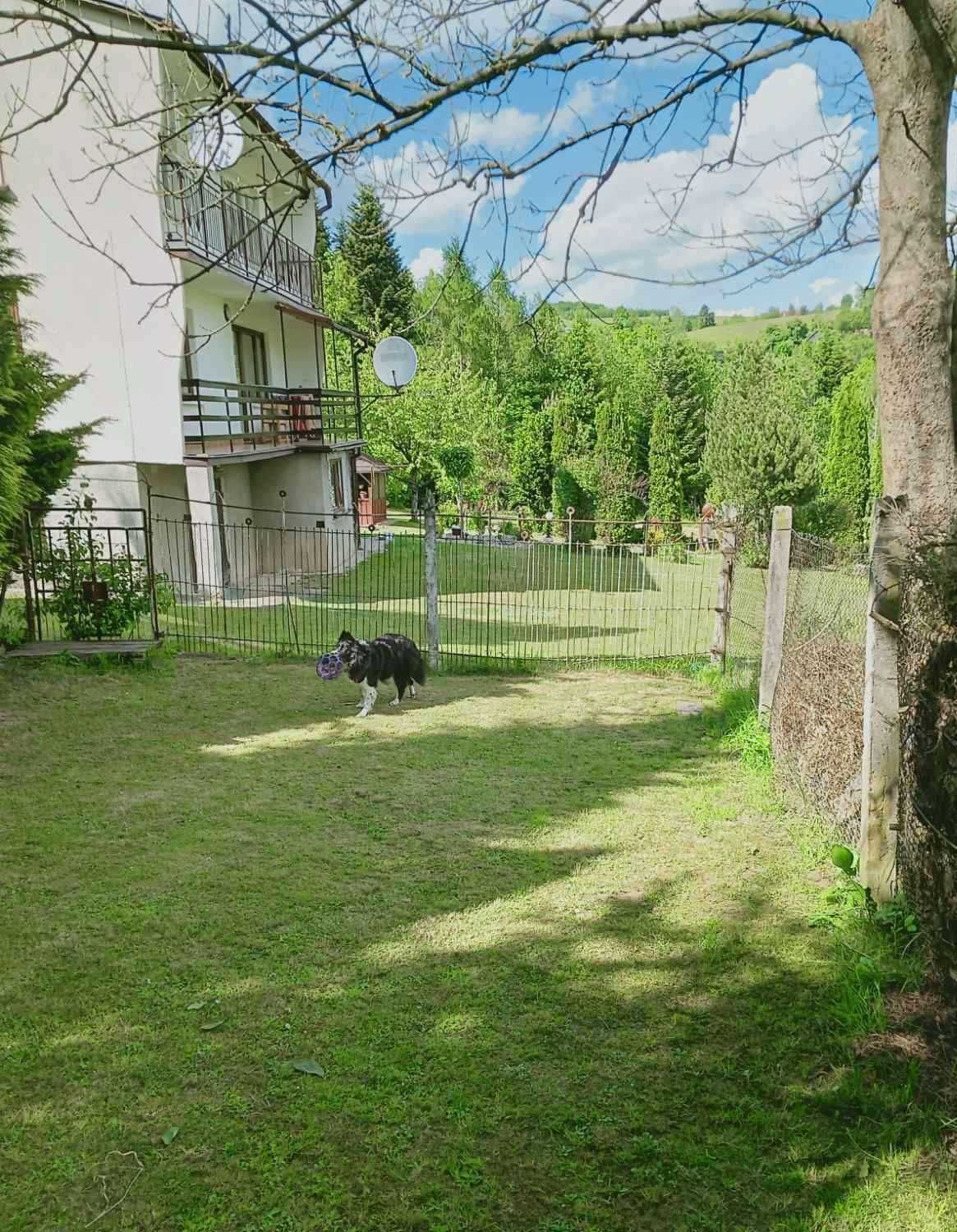 niezależna połowa domu + budynek gospodarczy 70 m2 +działka 10 ar