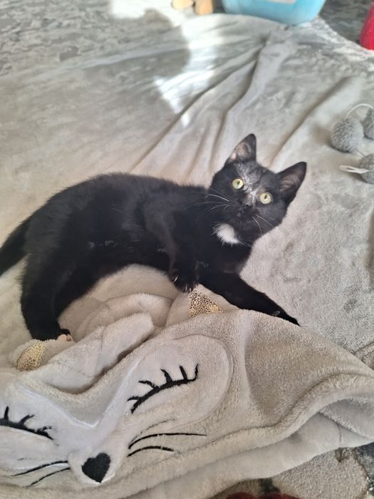 Хлопчик в хороші руки