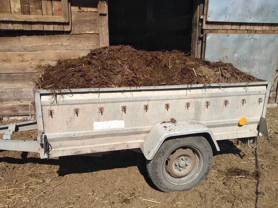 Obornik koński / Gnój/ Nawóz naturalny