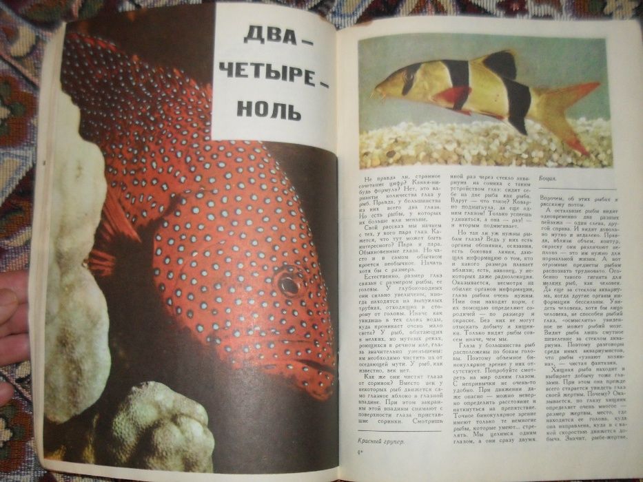 1977 г журнал "Юный натуралист" Советский СССР № 9 книжка книга