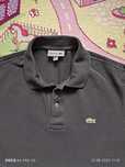 Koszulka polo Lacoste