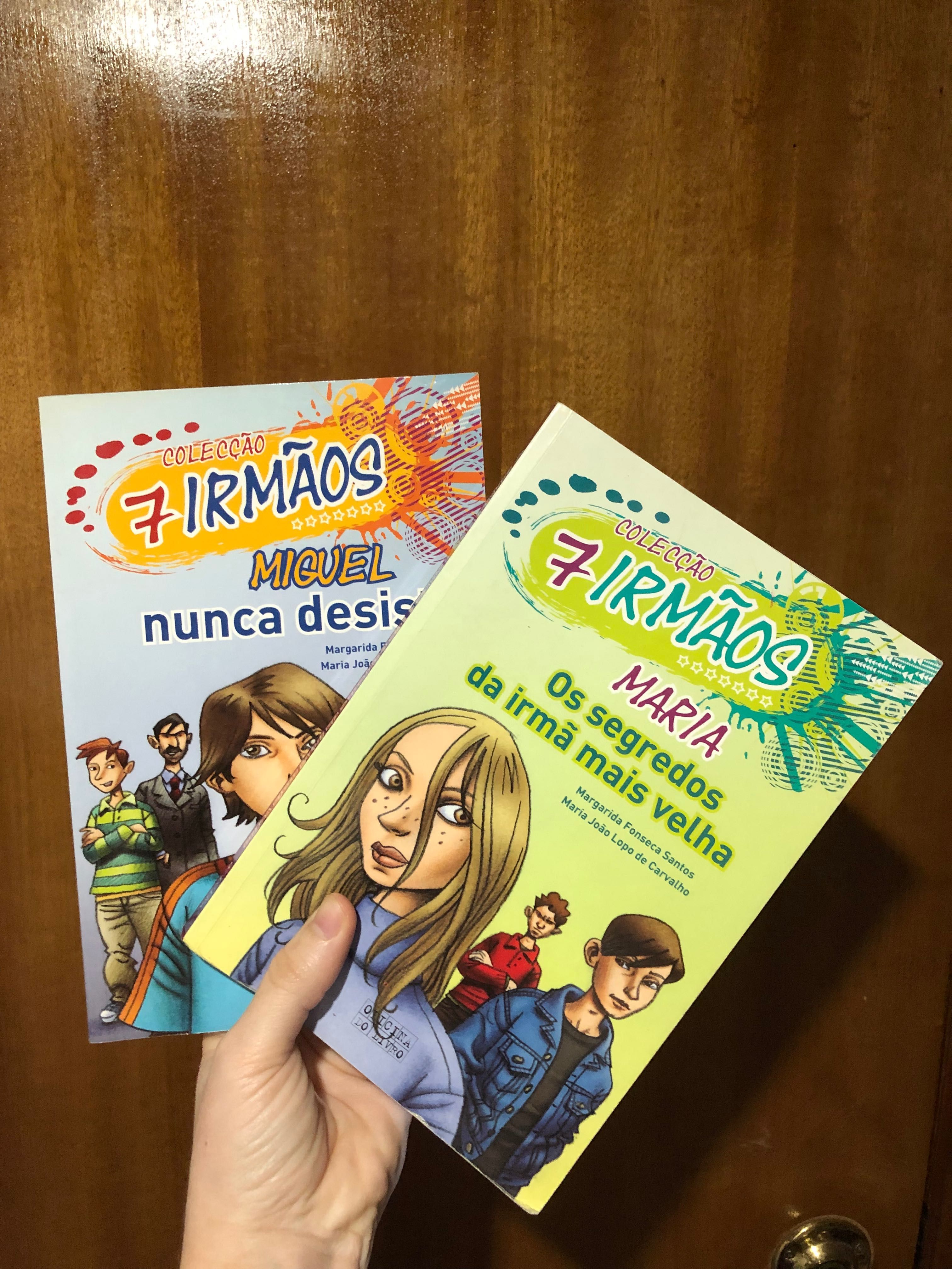 Livros Coleção Os 7 Irmãos