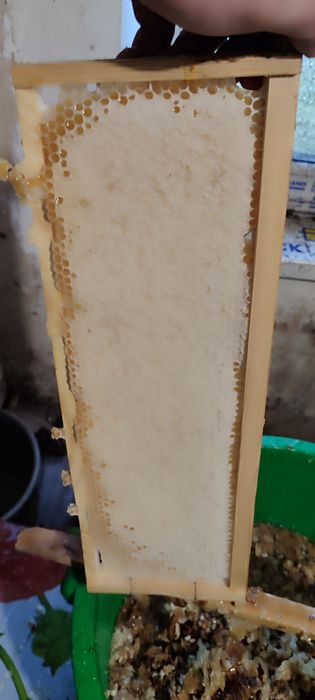 Продам мед,з власної пасіки