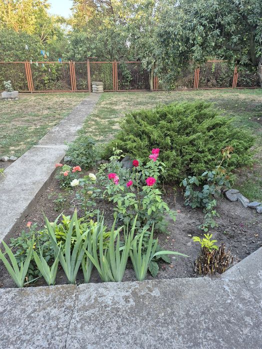 Продам свой дом( без посредников)