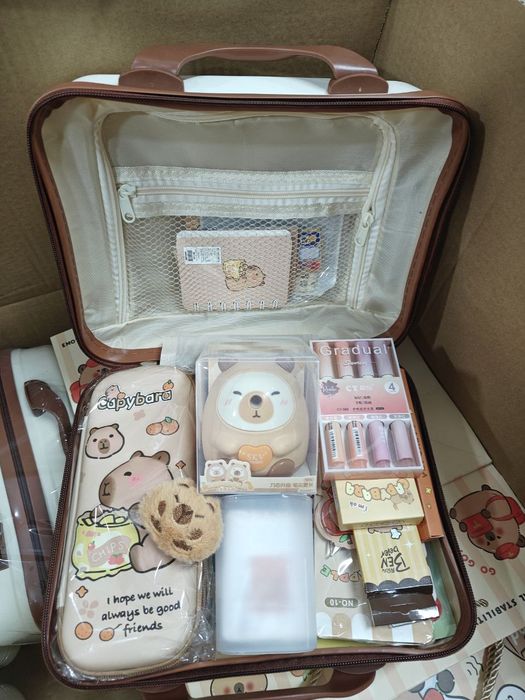 Канцелярський набір у кейсі капібара, панда