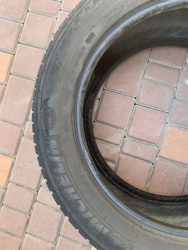 Шини Michelin R19 265/50 2021 рік