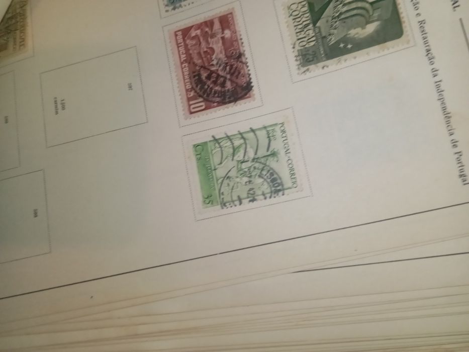 Selos tem selos do Benfica