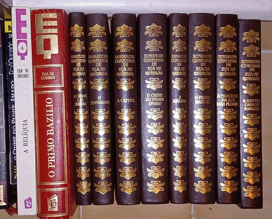 Livros/Eça Queiroz/culinária/José Rodrigues dos Santos/florbela
