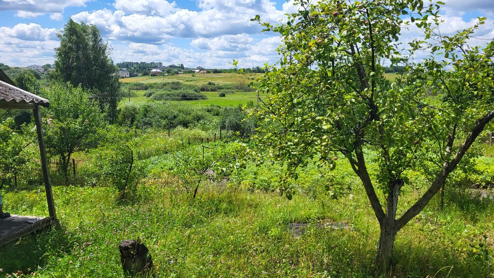 Продаж дачної ділянки