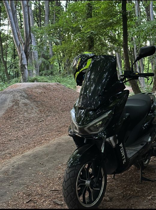 Сеутер Forte Tiger