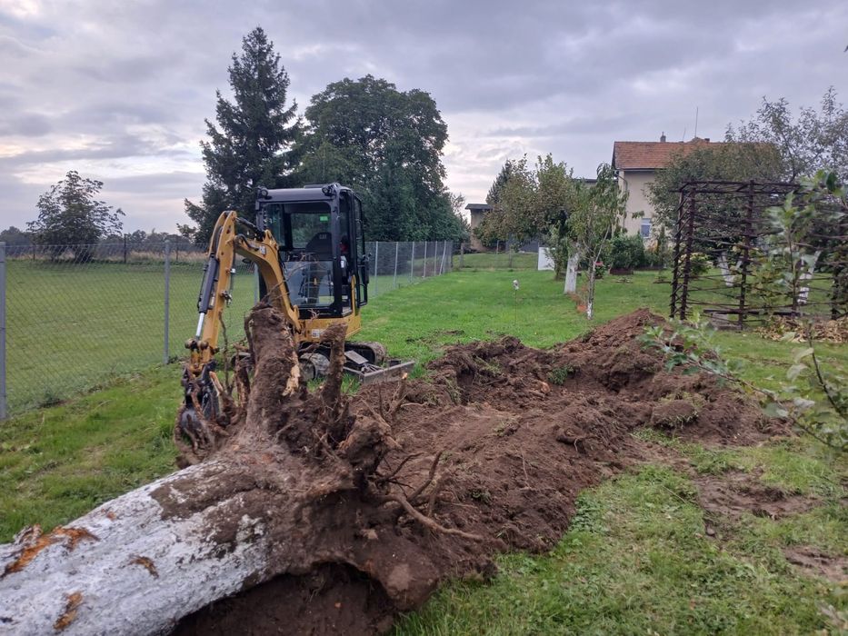 Usługi minikoparką