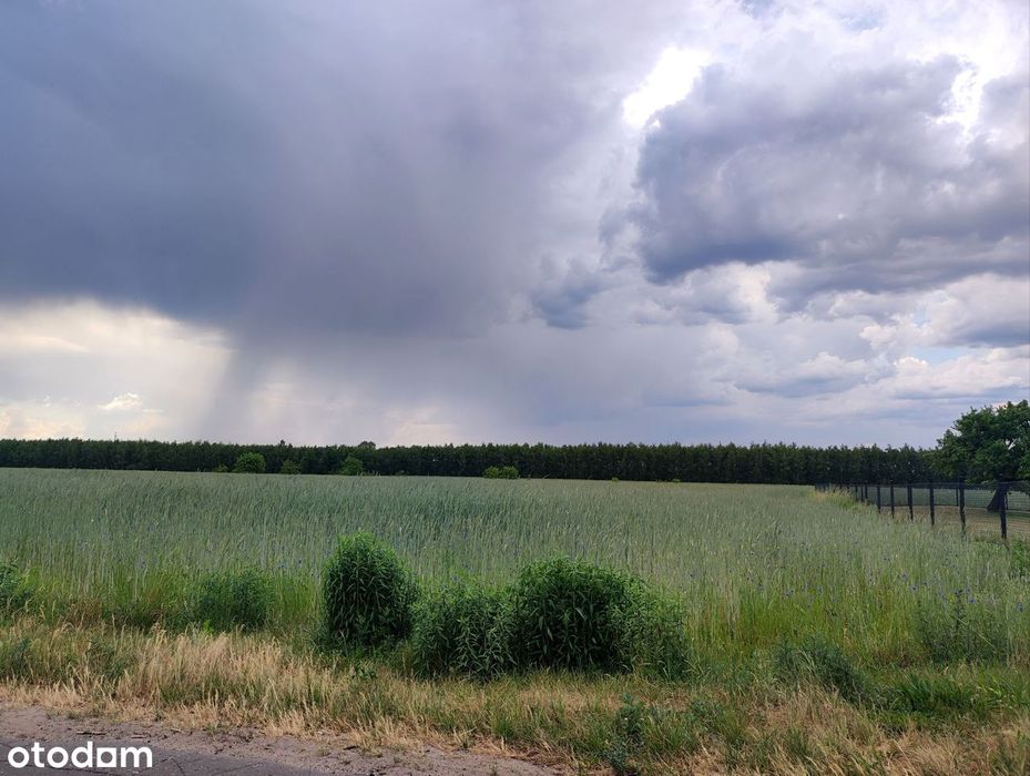 Działka budowlana 1247m2 Żyrardów