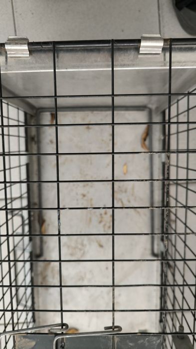 Gaiola / armadilha animais