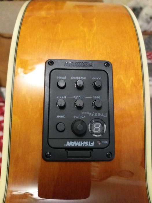 Акустическая гитара Ibanez AEL20E VV1202 + кейс.
